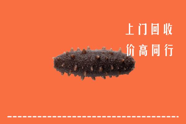 高价求购：丽水市景宁县回收海参