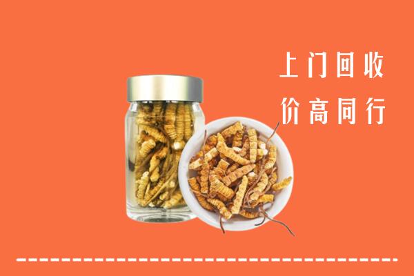 丽水市景宁县回收冬虫夏草