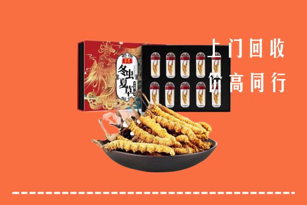丽水市景宁县回收虫草